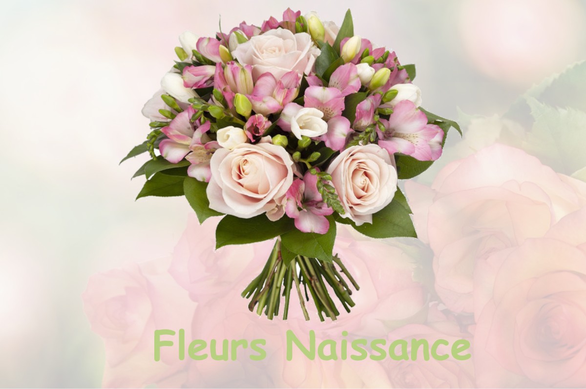 fleurs naissance HADANCOURT-LE-HAUT-CLOCHER